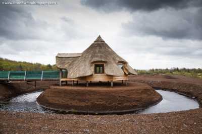 Thatch   Thatched   Thatching   It's all about roof thatching