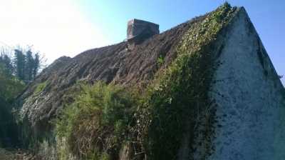 Water Reed over a Straw Base in County Roscommon Roof Thatching