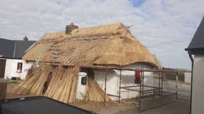 Knockadoon Thatched Cottage   Thatching Ireland