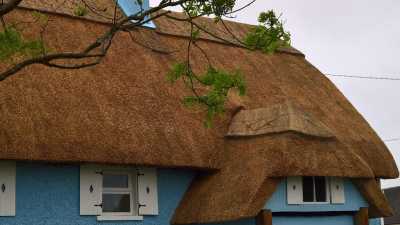 Thatched Cottage in County Wexford with a new cat of reed thatch.