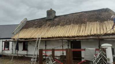 Putting in the eve. Reed Roof Thatching in Ireland
