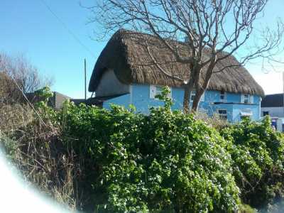 Straw thatch on blue painted Cottage in County Wexford.
