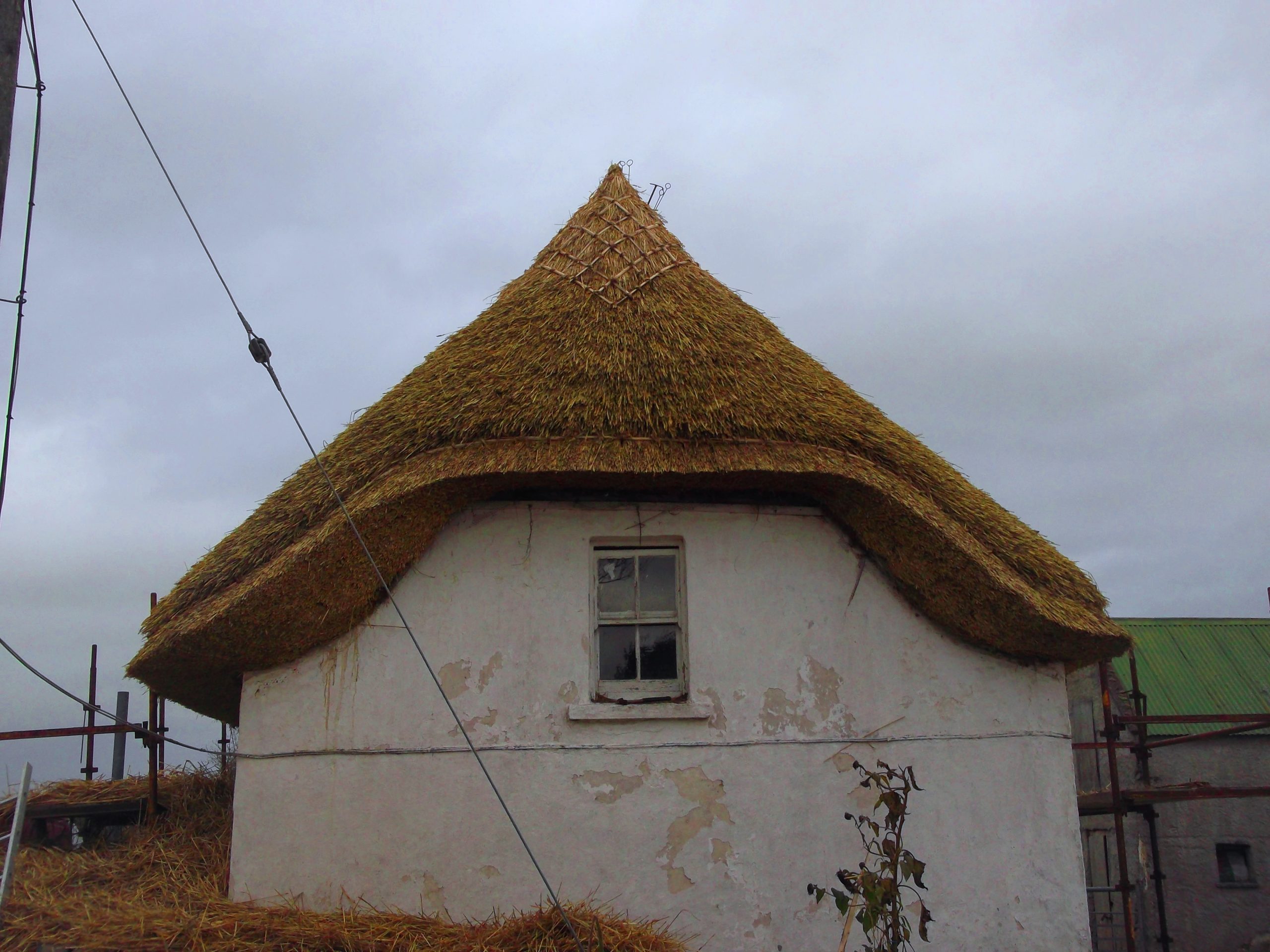 Gardamus Little, Wexford. Irish Thatched Cottage.