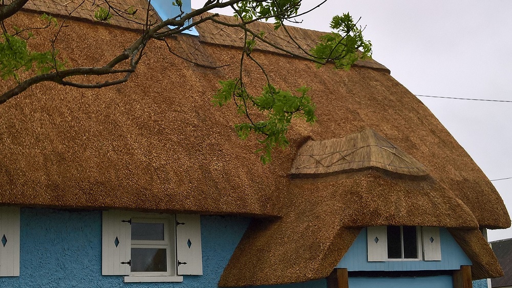Thatched Cottage in County Wexford, Ireland