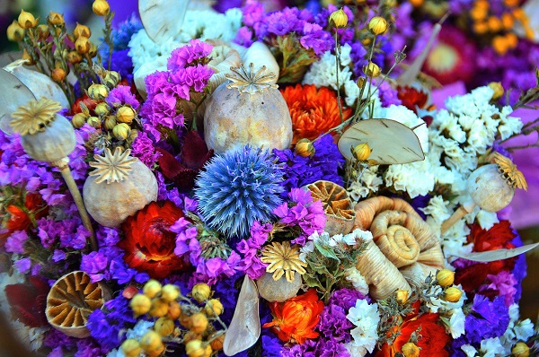 Colourful Dried Flowers