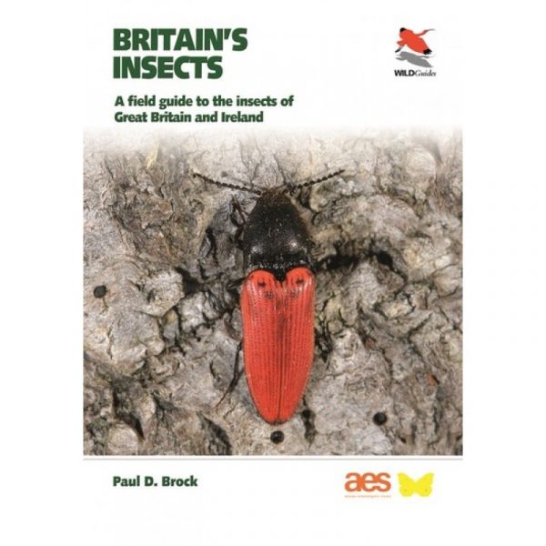Britain’s Insects – A Field Guide to the Insects of Great Britain and Ireland