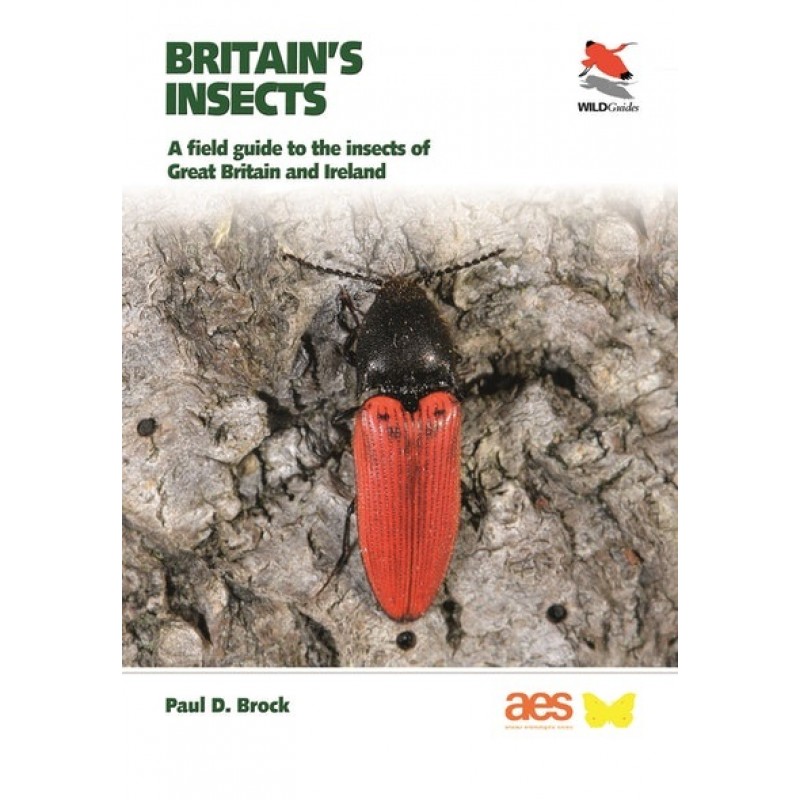 Book Cover - Britain's Insects