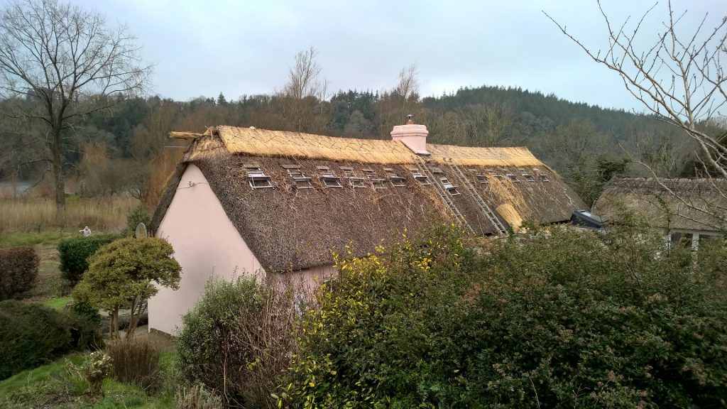 Reed Ridge - Roof Thatching Ireland