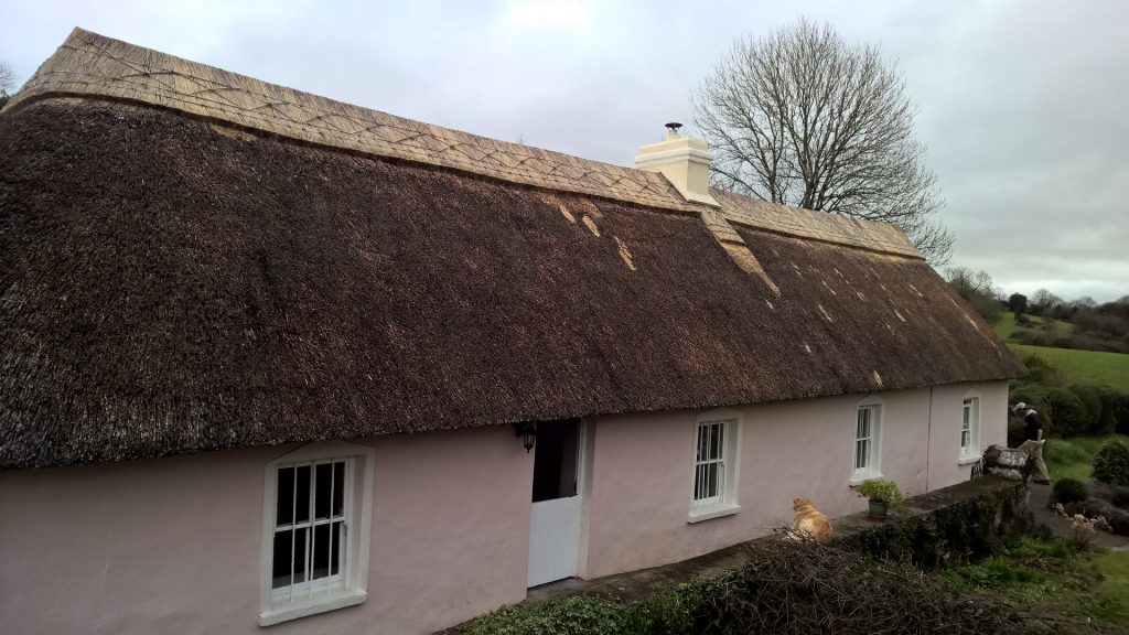 Ridging and Repairs - Roof Thatcher Waterford