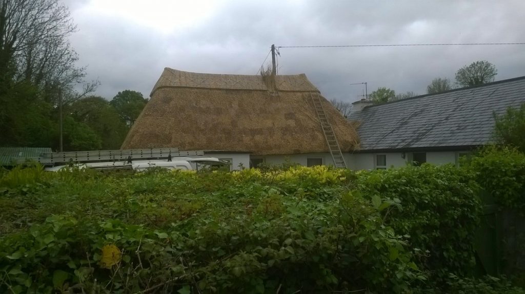Tipperary Reed Roof - Roof Thatcher in Ireland